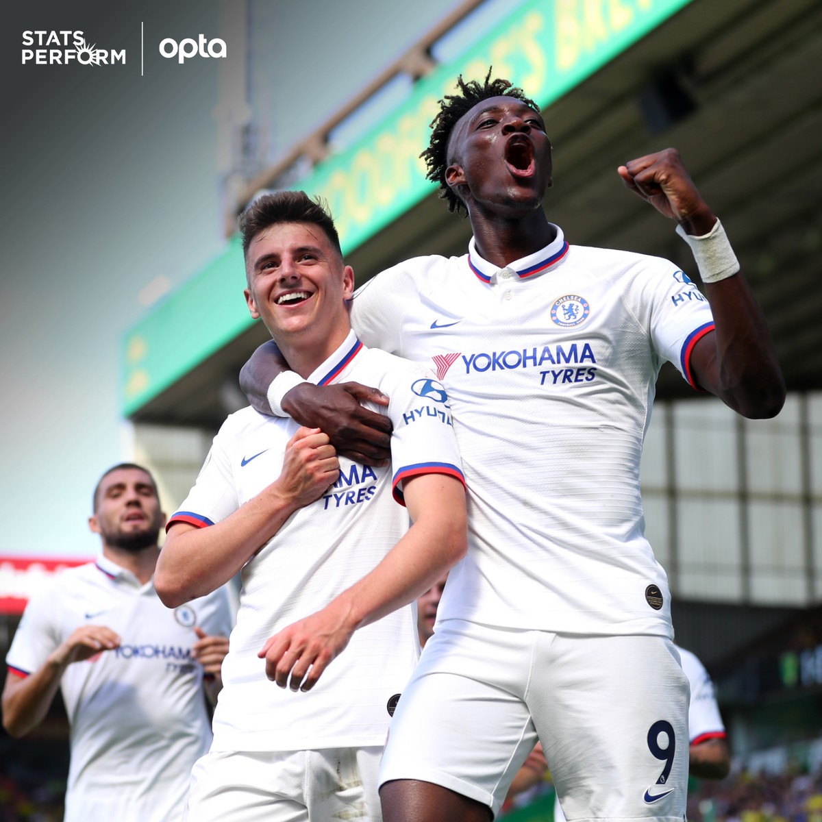 仅需要静待 仅需要静待